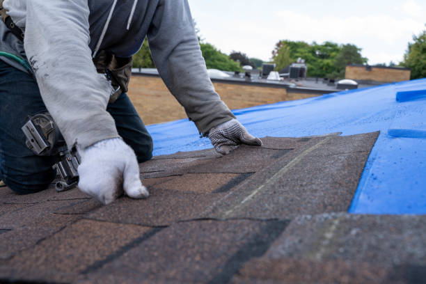 Best Storm Damage Roof Repair  in Hendersonville, NC